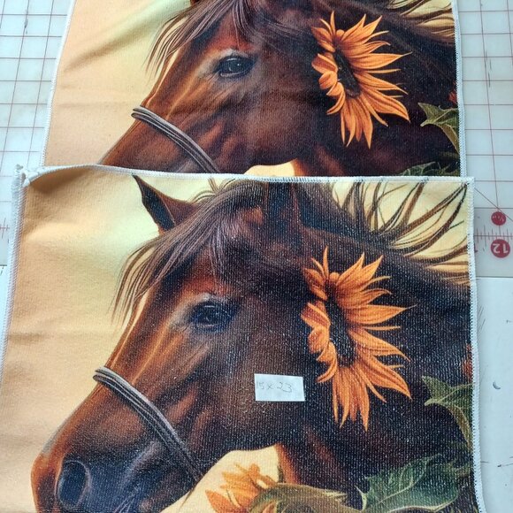 Other - Set of 2 Micro Fiber Kitchen Towels Horse and sunflower Towels